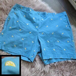 Talbots Lemon Embroidered Stretch Cotton Shorts | Size 20W